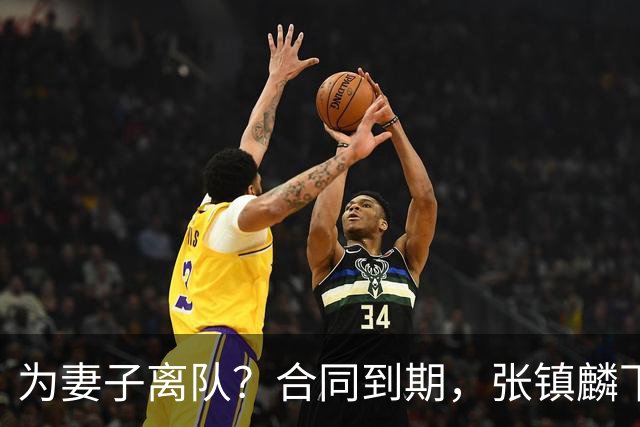 为妻子离队？合同到期，张镇麟下家4选1，广东2队有机会